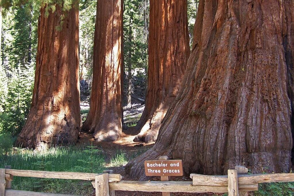 Acorn Cabin - Charming Place, Your Getaway To Yosemite, Bass Lake Oakhurst Exterior photo