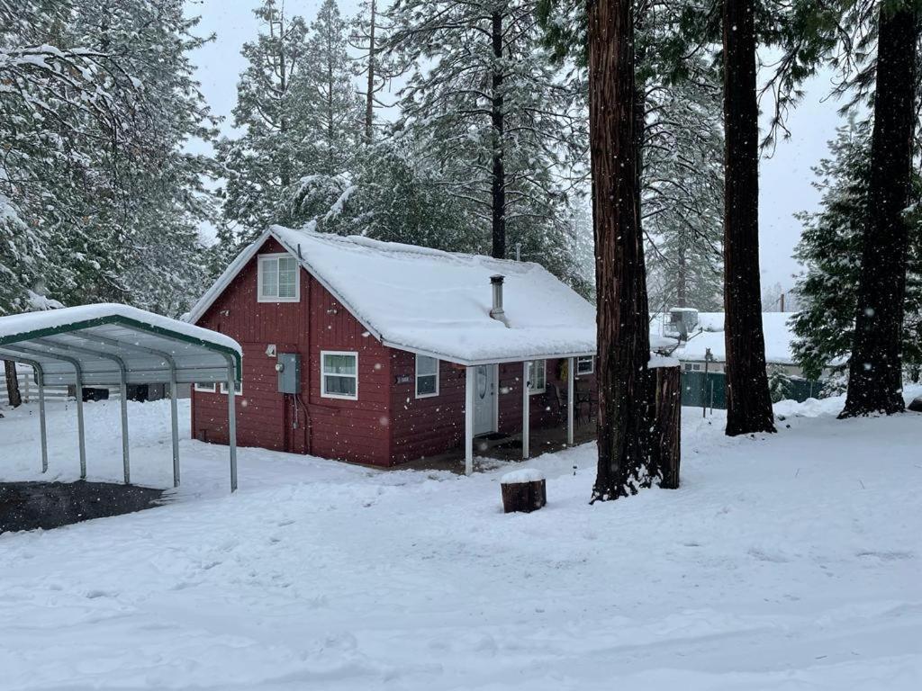 Acorn Cabin - Charming Place, Your Getaway To Yosemite, Bass Lake Oakhurst Exterior photo